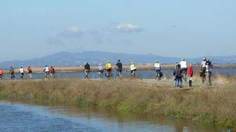 Bike Ride Tour at Don Edwards SFB National Wildlife Refuge