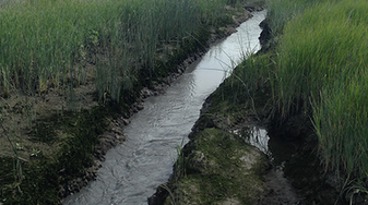 Small wetland