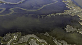 Salt pond. Credit: Cris Benton