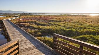 Boardwalk by the Refuge Environmental Education Center