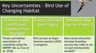 Presentation slide: Key Uncertainties: Bird Use of Changing Habitat