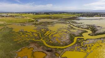 Refuge wetlands. Credit: Cris Benton