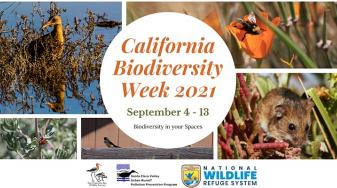 California Biodiversity Week wildlife