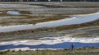 Fortresses of mud