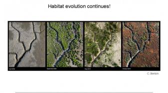 Habitat Evolution Continues. Photos by Cris Benton