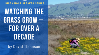 Watching the Grass Grow - For Over a Decade by David Thomson