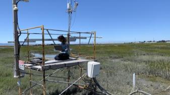 Scientist Jennifer Bahramian at Eden Landing Mount Eden restoration. Credit: Priyanka Runwal