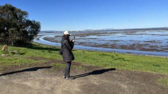 A person snaps a shot of Greco Island wetlands from Menlo Park's Bedwell Bayfront Park