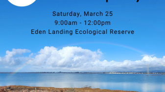 Volunteer Habitat Clean Up Day at Eden Landing Ecological Reserve