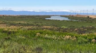 Old Alameda Creek in southern Eden Landing Ecological Reserve