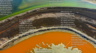 Graphic of salt ponds