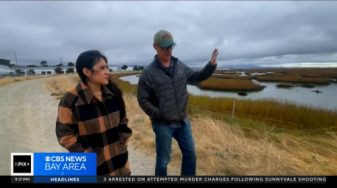 KPIX reporter Jocelyn Moran walks with Dave Halsing, Restoration Project manager, along Eden Landing wetlands