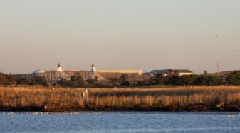 Birds float in the Charleston Slough with Shoreline Amphitheatre behind them during sunset on Oct. 17, 2023. Photo by Magali Gauthier.