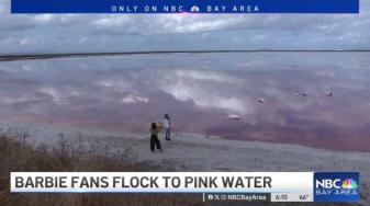 Image from story of people next to pink pond. Chyron: Barbie fans flock to pink water