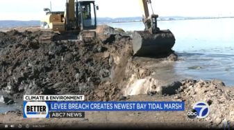 Earthmover digs open levee to open 300-acre Ravenswood pond