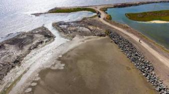 Mt. Eden Creek meets the Bay. Credit: Cris Benton