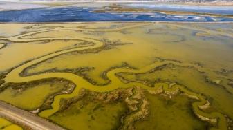Aerial view of salt pond restoration in wetlands at Don Edwards San Francisco Bay National Wildlife Refuge. Credit: Ian Shive/Tandem