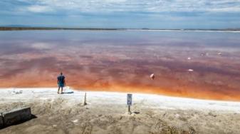 Clumps of salt stick out of the water at a salt pond in Alviso on Aug. 15, 2023, a district of San José located on the southern shores of San Francisco Bay. Credit Beth LaBerge/KQED