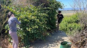 Cleaning trails at Alviso
