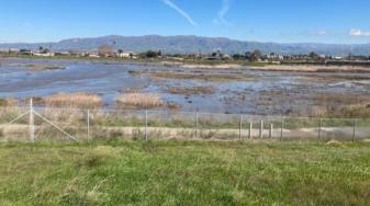 Tidal marsh at Ravenswood. Credit: Dave Halsing