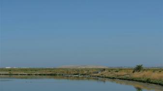 Alviso Ponds at the Refuge