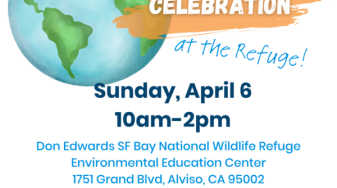 Event flyer