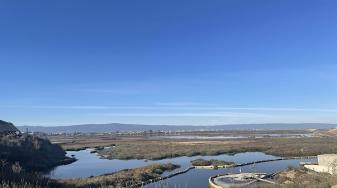 Don Edwards Refuge in Alviso, a mix of tidal marsh, open channels, and ponds.