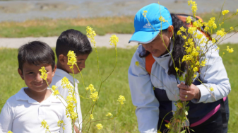 People weeding mustard plants. Credit: Save The Bay