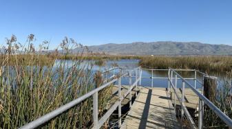 View from the Refuge's Alviso Environmental Education Center. Credit SFBWS