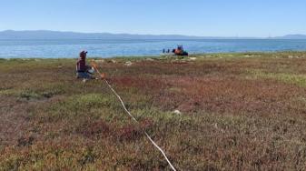 Eden Landing - scientist at work. Credit: USGS