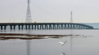 Egret at Ravenswood Ponds. Credit: Jessica Christian -S.F. Chronicle
