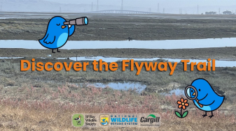 Discover the Flyway Trail - cartoon birds against a panorama of ponds and marsh