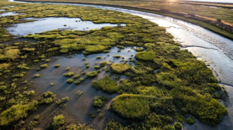 Restoring wetlands in Alviso. Credit: Cris Benton