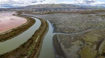 South Bay Salt Pond Restoration Project acreage. Credit: Cris Benton