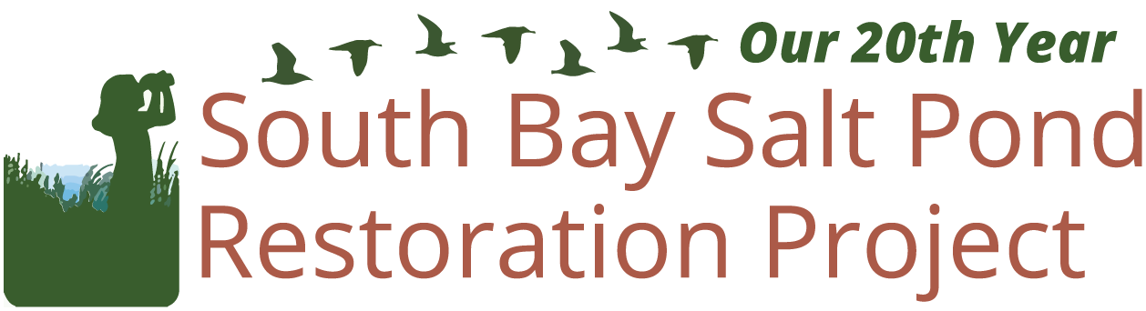 South Bay Salt Pond Restoration Project